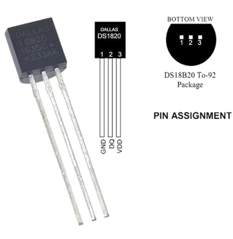 DS1820