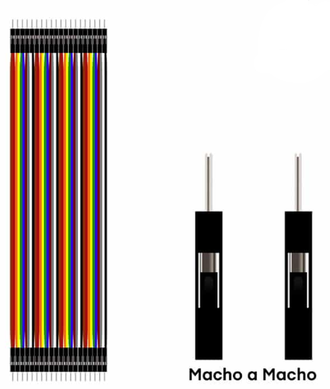 Conector Macho - Macho