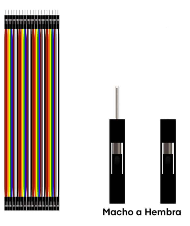 Conector Macho - Hembra