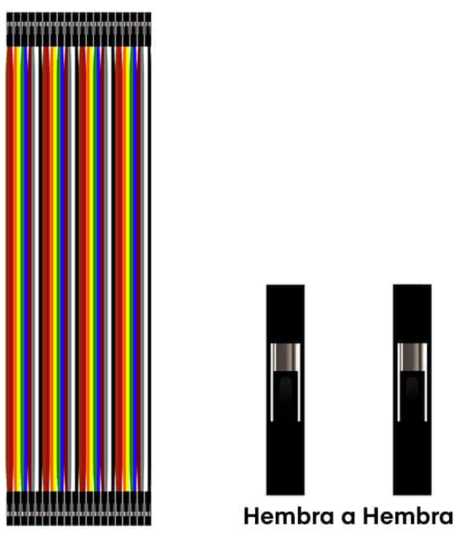Conector Hembra - Hembra